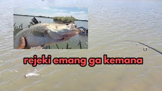 Alhamdulillah masih ada rejeki ll casting ikan barramundi