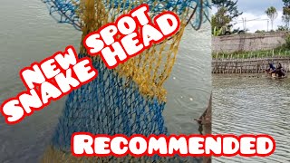 NEW SPOT‼️AUTO STRIKE ‼️#fishing#snakehead#reelsvideo#