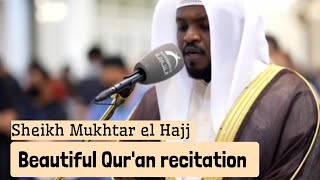 Beautiful Qur'an recitation || Sheikh Mukhtar el Hajj || الشيخ مختار الحاج