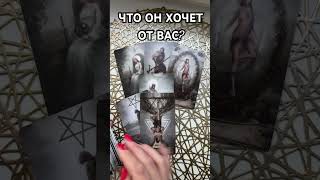 ЧТО ОН ХОЧЕТ ОТ ВАС? ТАРО РАСКЛАД