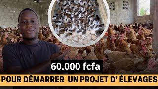 Comment débuter l’ élevages avec 60000 fcfa