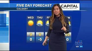 Danielle Savoni - CTV News Calgary - Tuesday, October 22, 2024. #daniellesavoni