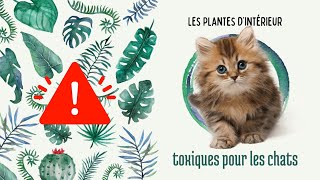 Plantes toxiques pour les chats