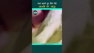 Chewing Gum चबाओ आंसू भगाओ | Viral Facts #shorts #amazingfacts #viralshorts