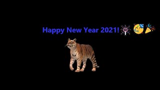 Happy New Year 2021!🐯