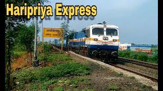 Late running HARIPRIYA EXPRESS | Jayasingpur | WDP4D