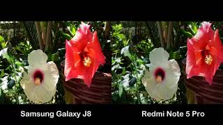 Samsung Galaxy J8 Vs Redmi Note 5 Pro Camera Comparison