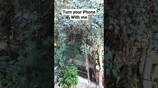 Turn Your Phone With Me