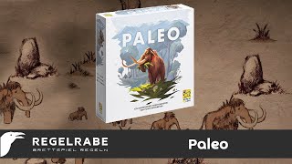 Paleo - Regelerklärung