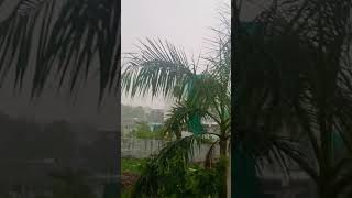 rim jhim yeh sawan ...#barish #shortvideo