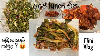 Brocoli කමුද ? | chicken ඩෙවල් කමුද ? | රාබු කොළ සම්බෝල කමුද ? | අපේ lunch එක | life in germany 😍