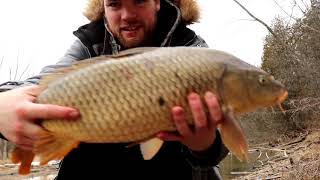 Sight fishing January Carp WITH A CENTRE PIN