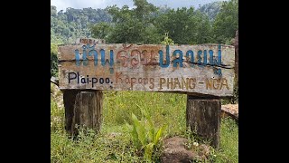 Hot Spring worth visiting in Phang Nga