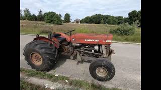 Massey Ferguson M-F 135 Orchard Tractor