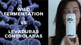 Fermentación salvaje VS. Fermentación controlada. Recomendaciones