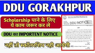 Ddu scholarship  2022 | Scholarship form online 2022 latest news today | up scholarship update