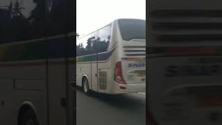 Bis SINAR JAYA legacy SR 1 | Bogor - Bekasi #bismaniacommunity #videoshort