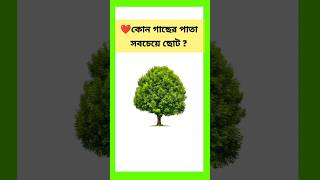 কোন গাছের পাতা সবচেয়ে ছোটো ? 🌳🌲🎄🌴🪴