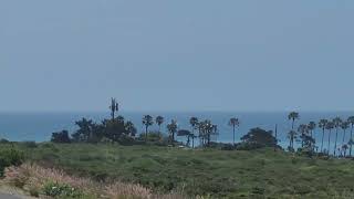 RINCON BEACH  HERMOSAS PLAYAS DE CALIFORNIA