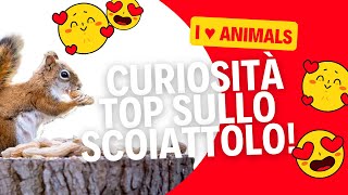 10 Curiosità sugli scoiattoli