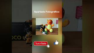 Apartado Fotográfico Poco F4 5G #shorts