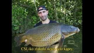 CSL Cornkiller Liquid - Carp Servis Václavík