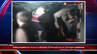 Sebze kasalarının arasına saklanan 23 Suriyeli kaçak sürüngen yakalandı