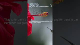 Surah Al-Ma'idah Mishary bin Rashid Alafasy I Ayah 33-34