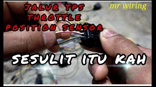 sensor tps dan jalur nya kemana saja