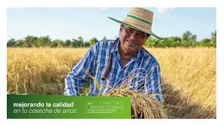 Juntos damos más con Nativo® | Agro Bayer​ Colombia​