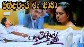 Sangeethe - අසේණි මහිව බලන්න ආපු විදිය