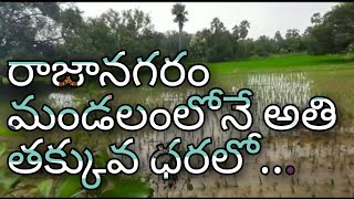 Land for sale|| Real Estate|| East Godavari land|| Low cost land|| Royal Real Estate||