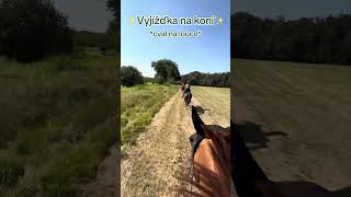 Letní vyjížďka na koních  #horses #horse #equestrian #equine #horseriding #holky #riding #jezdec