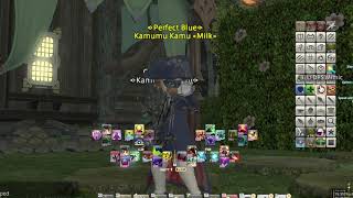 FFXIV BLU Role Mimic Loadout Macros