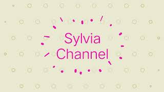 Video Opening Sylvia Channel Guest House Sylvia Bukittinggi