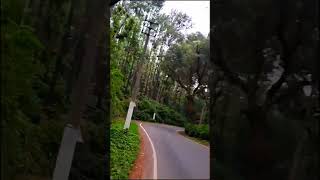 Benguluru to Chikmangalur bike trip in monsoon ❤️🌧️🏍️.  #shorts #shortsfeed #viralvideo #bike #trend