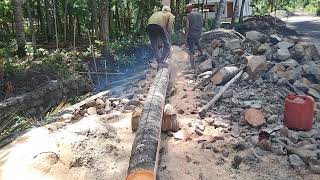 Senso STIHL Asli Lagi Potong Pohon Kelapa