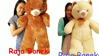 Boneka Beruang Jumbo