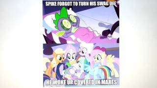 MLP Spike best swag moment