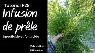 F28 Insecticide et fongicide: l'infusion de prêle