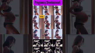 Monthly progression of fetal growth during pregnancy #development #pregnancy #yt