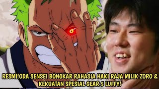 RESMI! AKHIRNYA ODA BOCORKAN RAHASIA PENTING HAKI RAJA ZORO & KEKUATAN SPESIAL GEAR 5 - Vivre Card