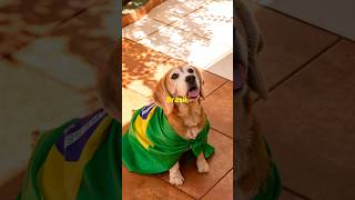 Celebrando o Vira-Lata Caramelo no Dia Mundial do Cachorro!