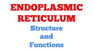 Endoplasmic Reticulum || #Biochemistry