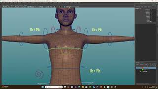 Male Rig and Skinning