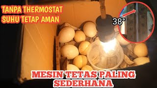 MESIN TETAS PALING SEDERHANA || MUDAH DI BUAT