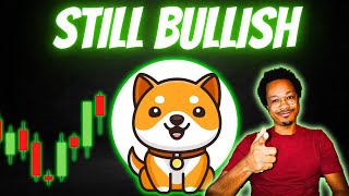 The BABY DOGE Bull Run Is NOT Over Yet!