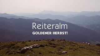 Reiteralm - Goldener Herbst!