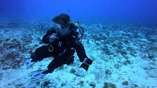 Buceo en Mexico / Diving in Mexico: Cozumel & Playa del Carmen