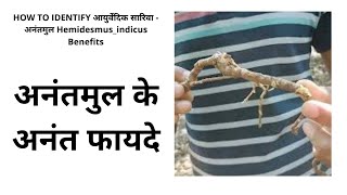 Anantmul ke Anant fayde #अनंतमुल #Hemidesmus_indicus? Benefits #ayurvedic #bams